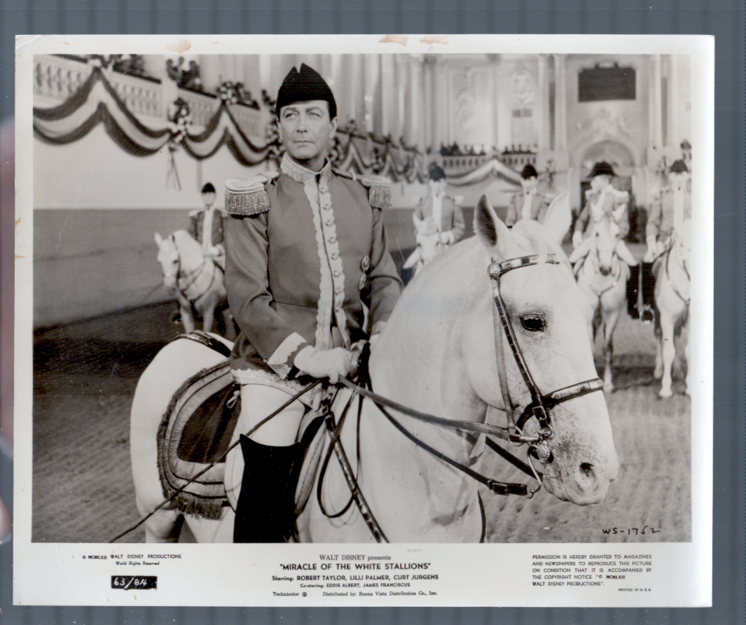 Miracle of the White Stallions — Still (1962)