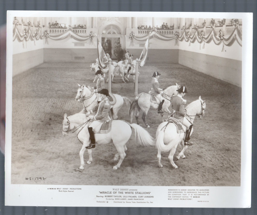 Miracle of the White Stallions — Still (1962)