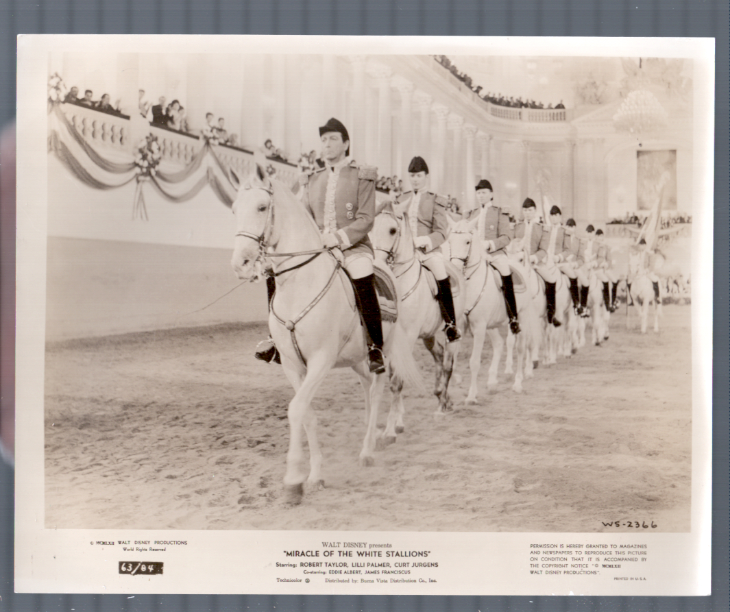 Miracle of the White Stallions — Still (1962)