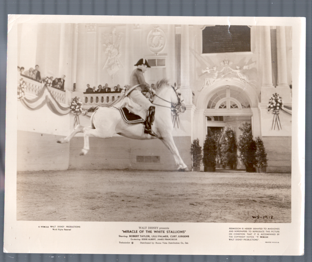 Miracle of the White Stallions — Still (1962)